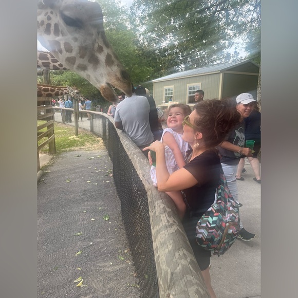 Meet your Posher, Peyton - Picture 8 of 10